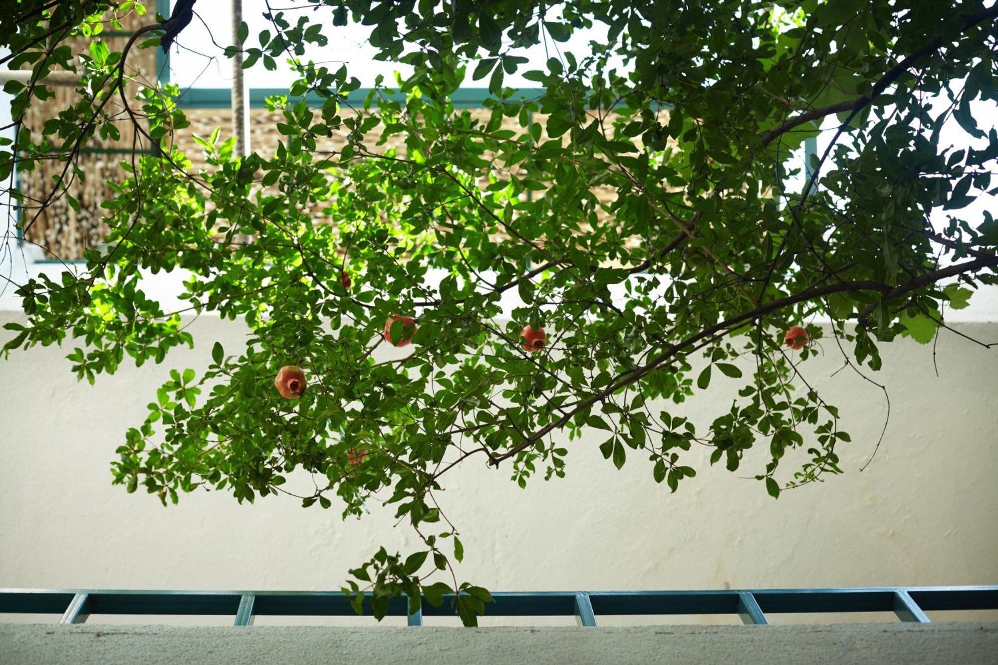 Madera Hotel Τυφλίδα Εξωτερικό φωτογραφία